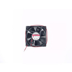 Colorado Batten 144 Tour - Fan PTF1600000700
